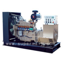 200-300kw Erdgasgenerator